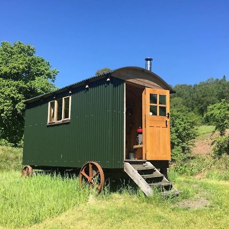 Villa Cosy Woodland Off Grid Shepherds Hut - Rowan Castle Douglas Exterior foto