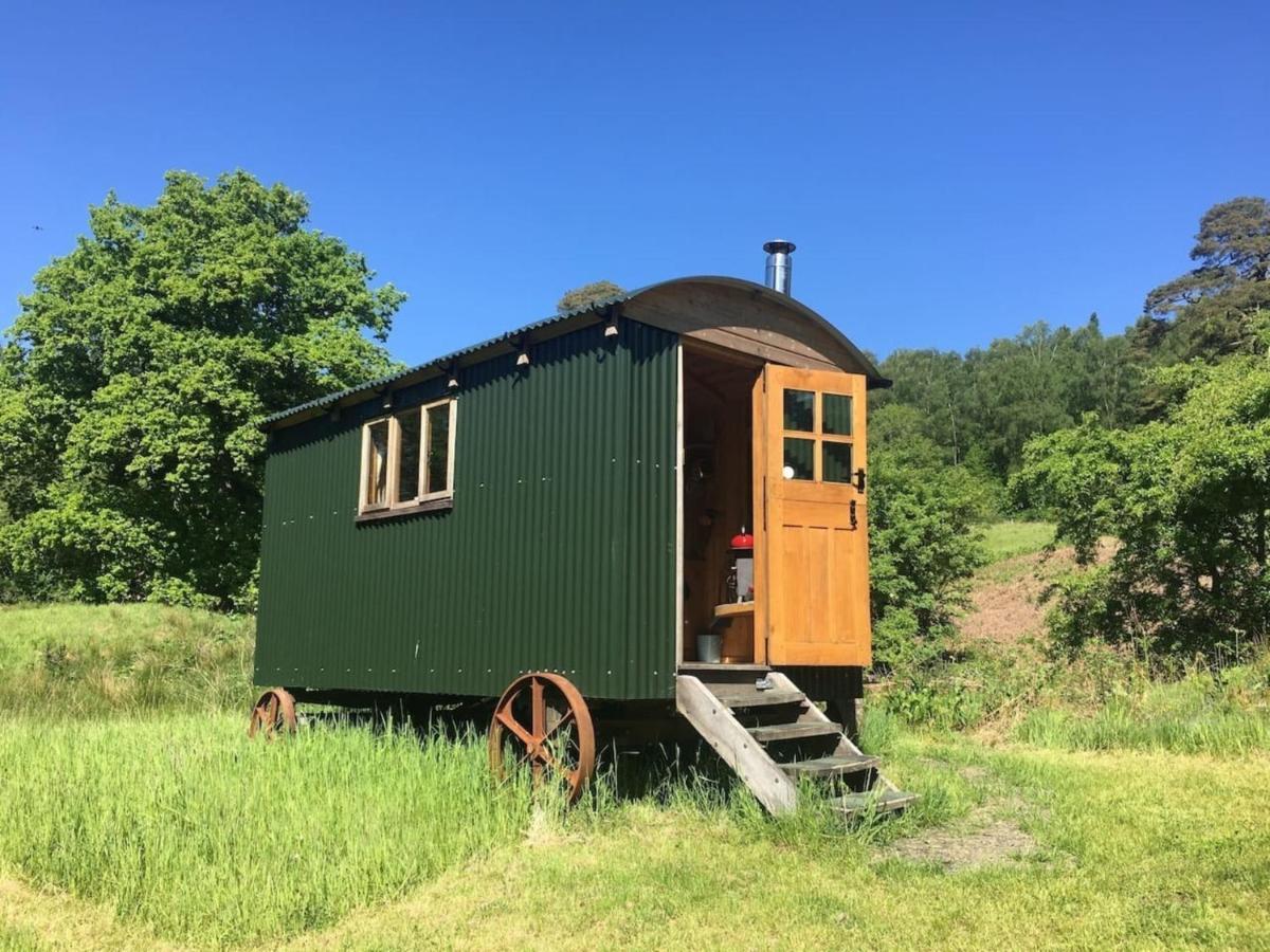 Villa Cosy Woodland Off Grid Shepherds Hut - Rowan Castle Douglas Exterior foto