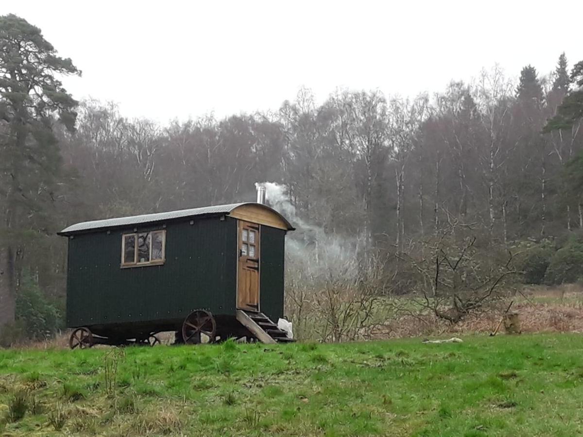 Villa Cosy Woodland Off Grid Shepherds Hut - Rowan Castle Douglas Exterior foto