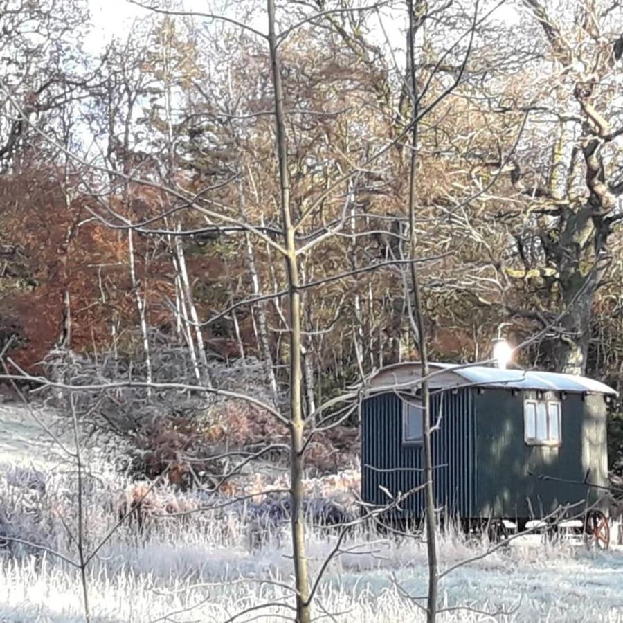 Villa Cosy Woodland Off Grid Shepherds Hut - Rowan Castle Douglas Exterior foto
