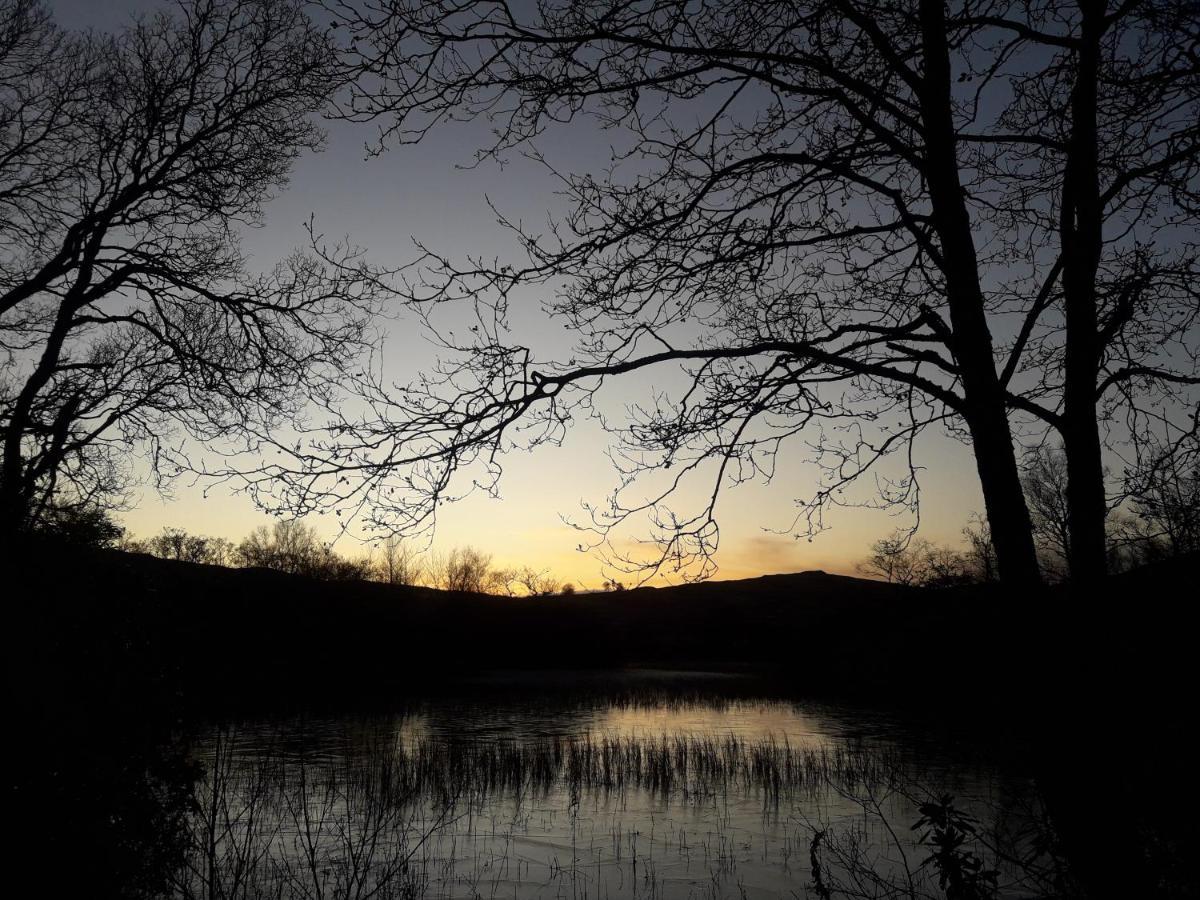 Villa Cosy Woodland Off Grid Shepherds Hut - Rowan Castle Douglas Exterior foto