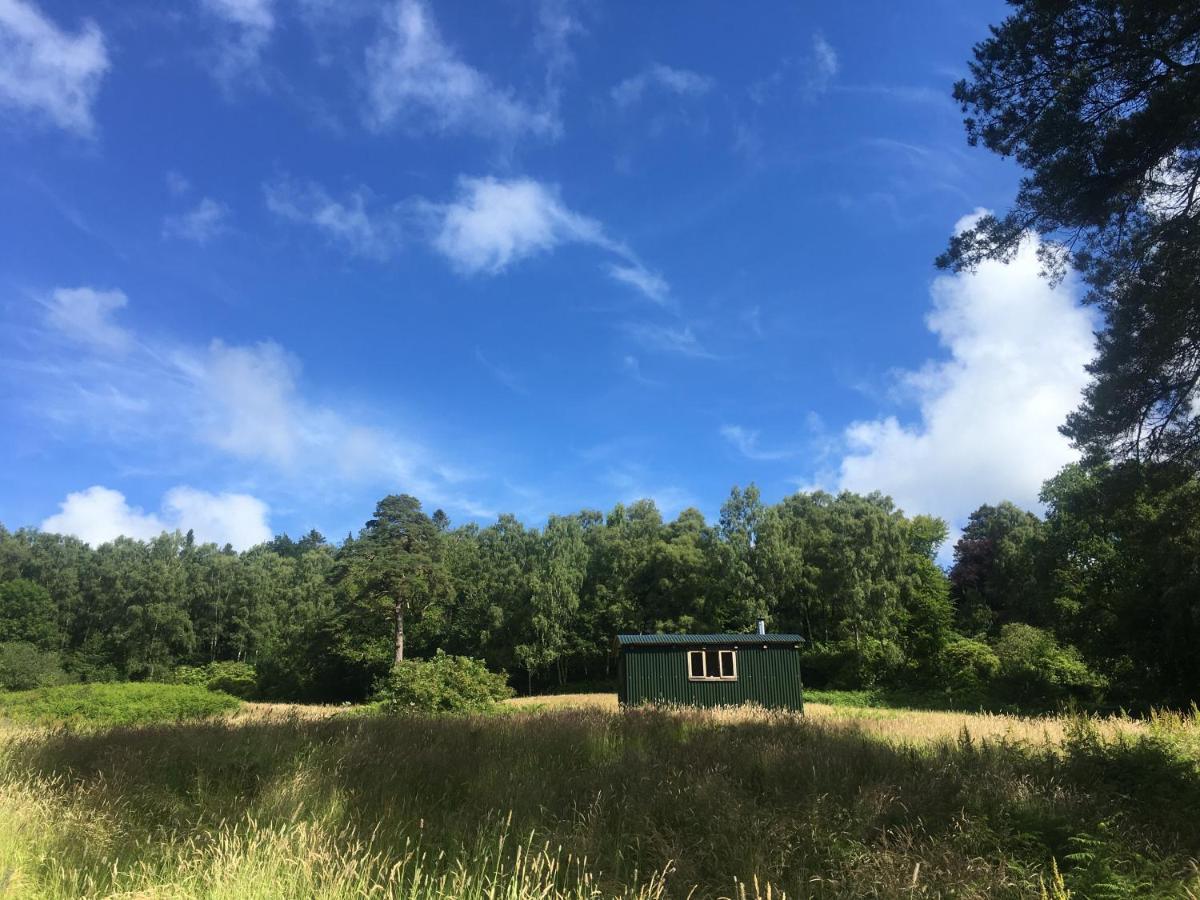 Villa Cosy Woodland Off Grid Shepherds Hut - Rowan Castle Douglas Exterior foto